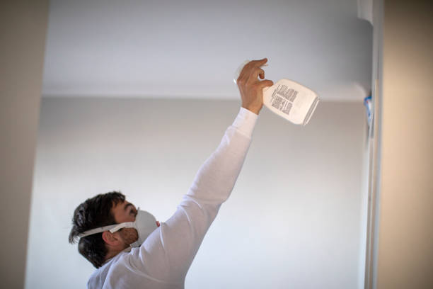 Best Mold Removal Near Me  in Moraine, OH