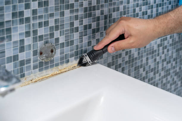 Best Mold Cleaning Services  in Moraine, OH