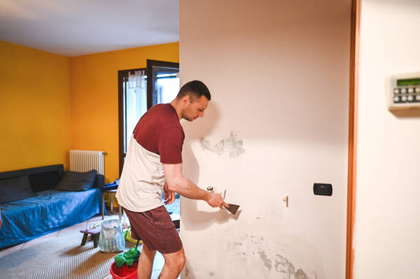 Best Mold Remediation  in Moraine, OH